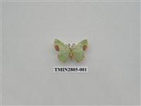 藏品(尺蛾417)的圖片